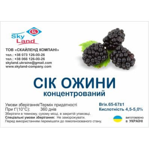Концентрированный сок ежевики (200л/250кг) Концентрированный сок ежевики (200л/250кг)